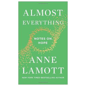 almost everything: notes on hope