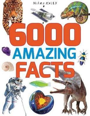 b384 6000 amazing facts