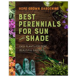 best perennials for sun and shade (home grown gardening)
