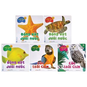 bộ bách khoa toàn thư cho bé - động vật dưới nước (bộ 5 cuốn)