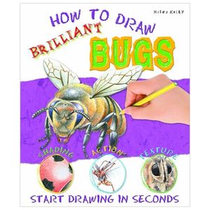 brilliant bugs (how to draw)