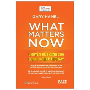 chuyện hệ trọng của doanh nghiệp thời nay - what matters now