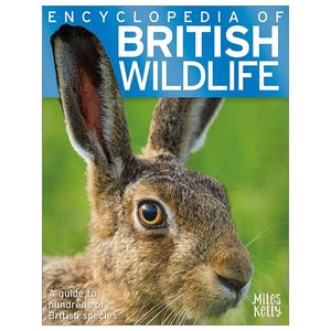 encyclopedia of british wildlife