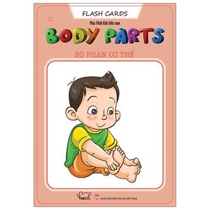 flash cards anh - việt - body parts - bộ phận cơ thể