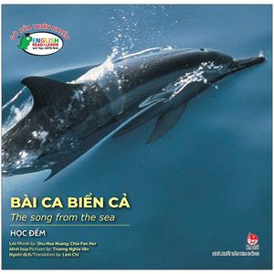 gõ cửa thiên nhiên - bài ca biển cả - học đếm - the song from the sea