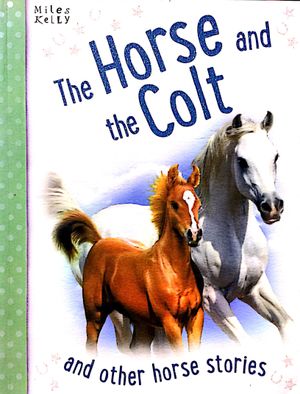 horse stories: horse & the colt