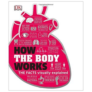 how the body works: big stuff simply explained