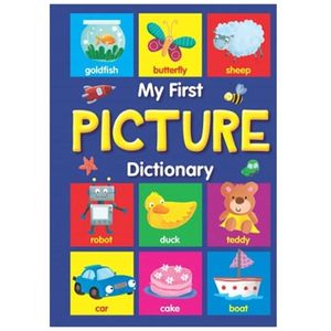 my first picture dictionary