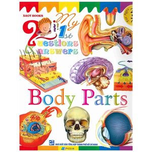 my first questions & answers - body parts