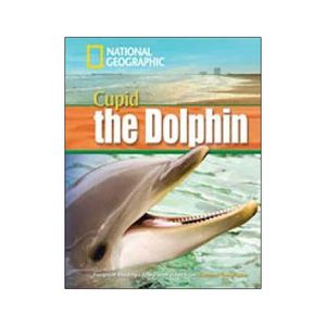 ng fprl ame cupid the dolphin1600 sb