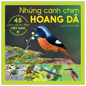 những cánh chim hoang dã - 45 loài chim đẹp việt nam