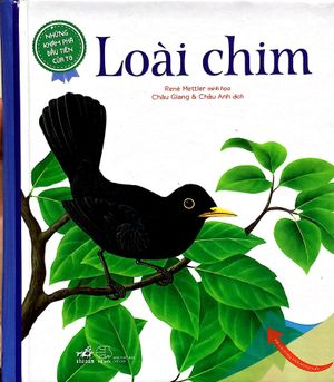 những khám phá đầu tiên của tớ - loài chim