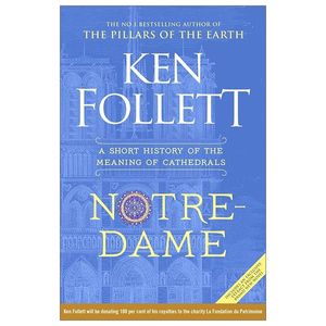 notre-dame: a short history of the meaning of cathedrals