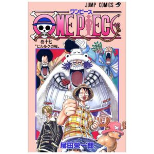 one piece 17