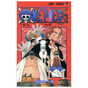 one piece 25