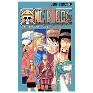 one piece 34