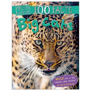 pocket edition 100 facts big cats