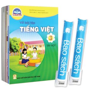 sách giáo khoa bộ lớp 3 - chân trời sáng tạo - sách bài tập (bộ 12 cuốn) (2023) + 2 bao sách tp