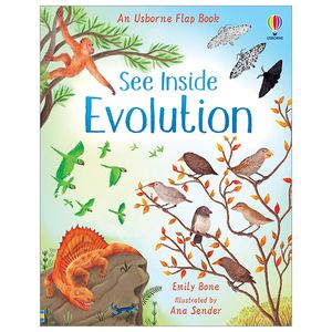 see inside evolution