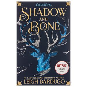 shadow and bone book 1