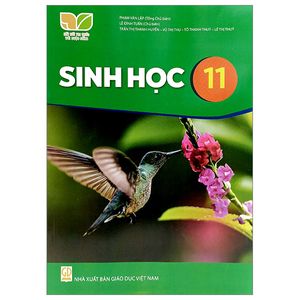 sinh học 11 (kết nối tri thức) (2023)