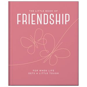 the little book of friendship: for when life gets a little tough
