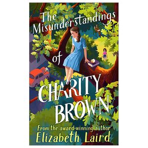 the misunderstandings of charity brown