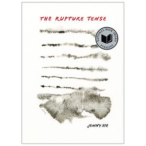 the rupture tense: poems