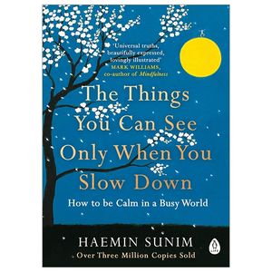 the things you can see only when you slow down: how to be calm in a busy world