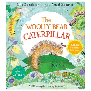 the woolly bear caterpillar