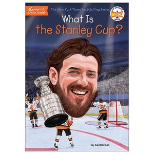 what is the stanley cup? (what was?)