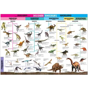 wonders of learning educational wall chart: discover dinosaurs