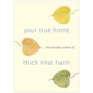 your true home: the everyday wisdom of thich nhat hanh