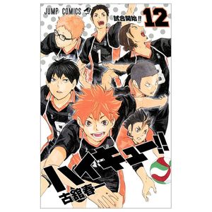 ハイキュー!! 12 - haikyu!! 12