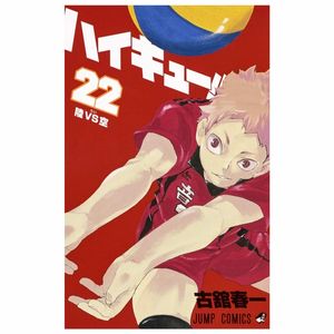 ハイキュー!! 22 - haikyu!! 22