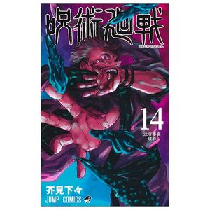 呪術廻戦 14 - jujutsu kaisen 14